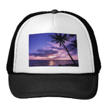 Paradise Island Hat