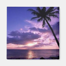 Paradise Island Refrigerator Magnet