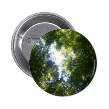 Paradise, New Zealand Buttons