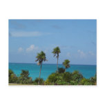 paradise postcards