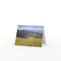 PARADISE RIDGE WINERY CARDS