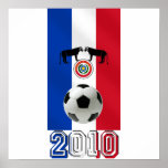 Paraguay 2010 flag of Paraguay soccer ball gifts posters