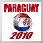 Paraguay 2010 logo flag La Albirroja Ball posters