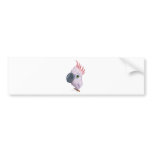 Parakeet Bumper Stickers
