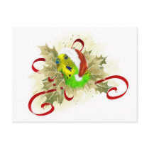 Parakeet Christmas Postcards