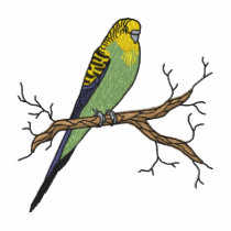 Parakeet