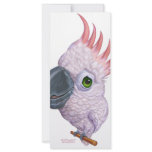Parakeet rack cards