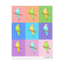 Parakeet Rainbow Rectangles Postcard