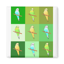 Parakeets and Green Tiles Refrigerator Magnets