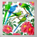 Parakeets and Peonies Poster posters