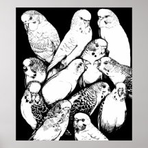 Parakeets Print