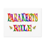 PARAKEETS RULE POSTCARD