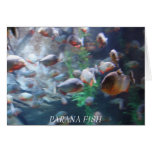 Parana cards