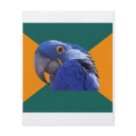 Paranoid Parrot Bird Advice Animal Meme flyers