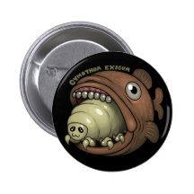 PARASITES: Cymothoa exigua Pins