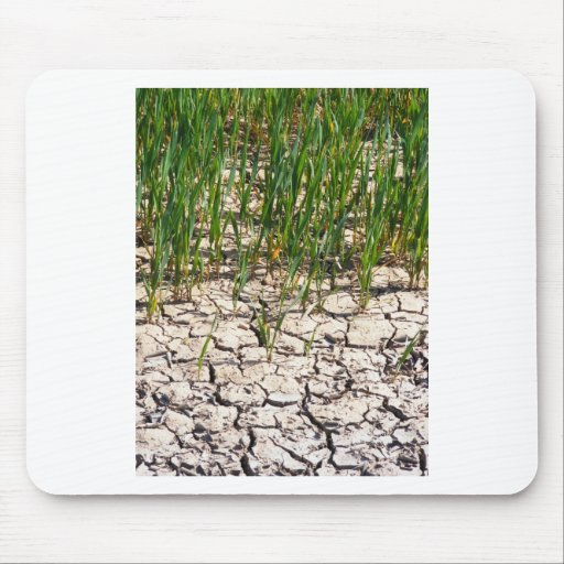 Parched Mousepad