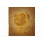 Parchment Pug Post Card