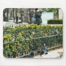paris birds mouse pads