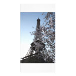 Paris Cherry Blossoms photo cards