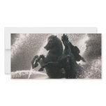 Paris Fountain photo cards