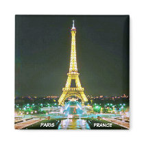 PARIS, FRANCE REFRIGERATOR MAGNET