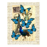 Paris, peacock and butterflies post card