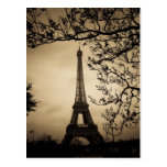 Paris Post Card