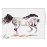 Paris Priamides Card