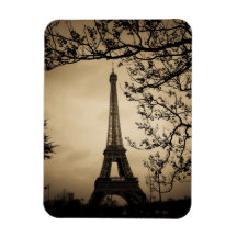 Paris Vinyl Magnets