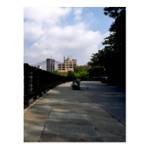 Park Bench Post Card