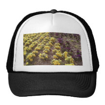 Park Flowers Hat