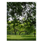 Park Postcard