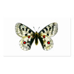 Parnassius apollo butterfly bookmark business cards