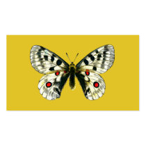 Parnassius apollo butterfly bookmark business card templates