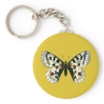 Parnassius apollo butterfly keychain