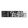 Parore Fish Skull Bumper Stickers