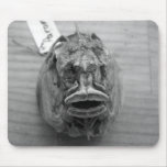 Parore Fish Skull Mouse Pads