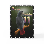 Parrot African Grey /grey Happy 11 Birthday Avian