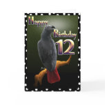 Parrot African Grey /grey Happy 12 Birthday Avian
