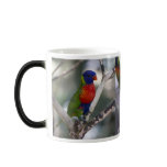 Parrot and Lorikeets Mug