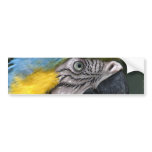 Parrot Bumper Sticker