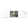 parrot bumper sticker