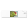 parrot bumper stickers