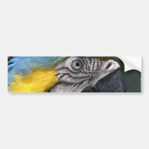 Parrot Bumper Sticker