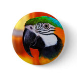 Parrot buttons