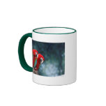 Parrot Couple mugs