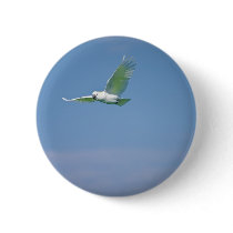 Parrot Flying Buttons