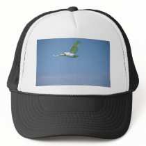 Parrot Flying Mesh Hats
