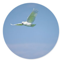 Parrot Flying Round Sticker
