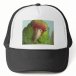 parrot front view trucker hats